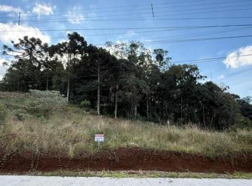Foto 01 · Terreno, Aurora, Carlos Barbosa, RS