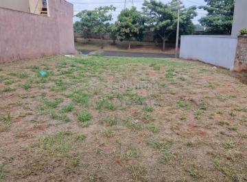 Terreno · 308m² · Terreno Condomínio em São José do Rio Preto