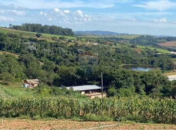 Rural · 150m² · 8 Quartos · 4 Vagas · Sítio 6 Alqueires, produzindo, Abacate, Pêssegos, área confinamento de gado