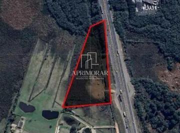 Terreno · 20000m² · Terreno industrial de 20.000m2 na br 376 próximo ao são marcos