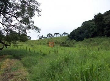 Imagem 1 · Terreno