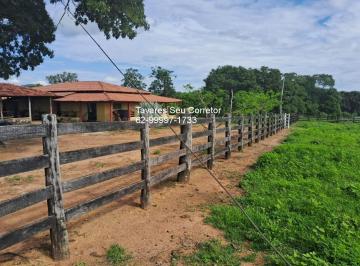 Imagem 1 · Fazenda