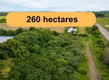 Imagem 1 · Fazenda