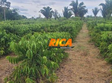 Imagem 1 · Fazenda