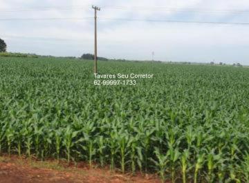 Imagem 1 · Fazenda