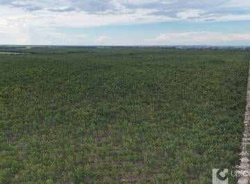Imagem 1 · Fazenda para venda em Setor Central, Araguaína