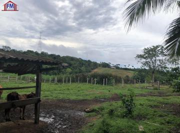 Imagem 1 · Fazenda para venda em Manaus