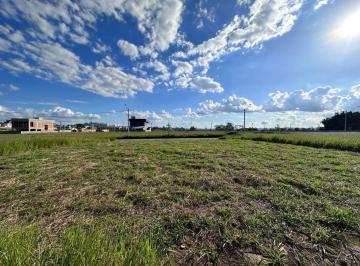 20260507161926_0400.jpg · Terreno à venda, 250 m² por R$ 342.000,00 - Jardim das Flores - São José dos Campos/SP