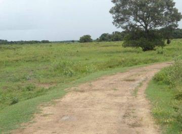 Imagem 1 · Fazenda