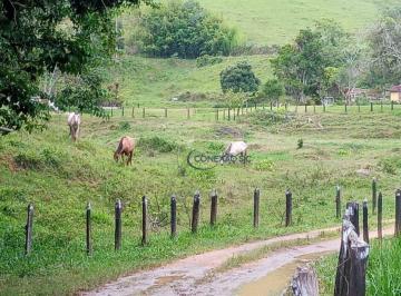 Imagem 1 · Fazenda