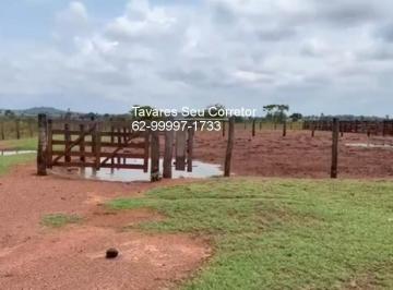 Imagem 1 · Fazenda