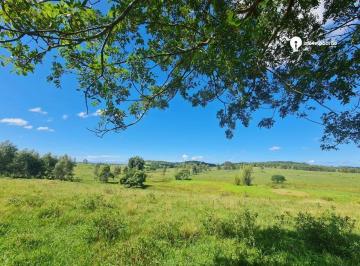 Imagem 1 · Fazenda