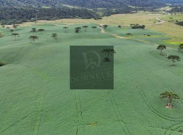 6ukimng2owvjowewnjy5yjvh_md · Fazenda com 1388 Hectares em Bom Retiro, Plantio de soja, Criação de Gado