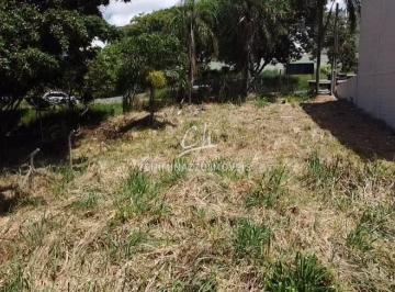 Comercial · 737m² · Terreno à venda em Campinas, Jardim Indianópolis, com 737 m²