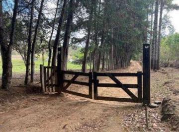 Imóvel Rural, 72.600m², 02 casas, 02 barracões, Campanha, Pedra Bela/SP - Foto [1] · Imóvel Rural, 72.600m², 02 casas, 02 barracões, Campanha, Pedra Bela/SP