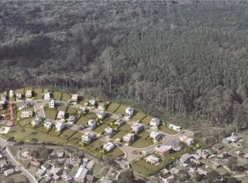 548046.jpg · Terreno - Bairro Santa Terezinha