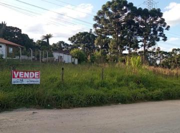Comercial · Comercial à venda - em Roseira