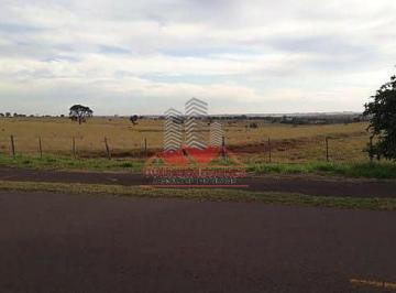 Diferencial logístico estratégico: propriedade localizada à beira do asfalto, facilitando o escoamento de safra e o transporte o ano todo. · Fazenda 400 Alqueires em Martinópolis SP | Dupla Aptidão