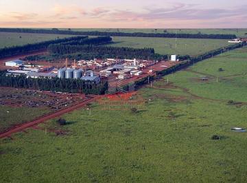 Estrutura robusta para armazenamento e processamento de grãos. Visão panorâmica do complexo operacional que inclui silos industriais de alta capacidade (22.000 sacas a granel), secador e barracões modernos. O coração logístico da produção agrícola em · Mega Fazenda à Venda no MT: 89 Mil Hectares Porteira Fechada