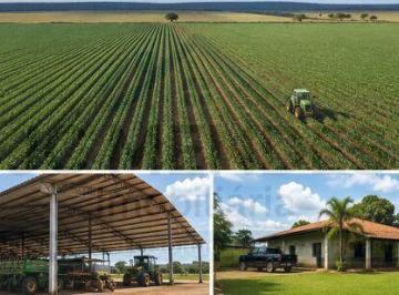 Rural · FAZENDA COM 100% DE DÍVIDA