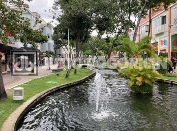 Comercial · 58m² · Loja : / Comercial / Barra da Tijuca