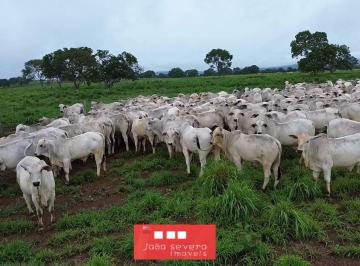 202605051459103492.jpeg · Fazenda para Venda em Miranorte