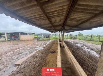 202601231603466101.jpeg · Fazenda para Venda em Luziânia, Área Rural de Luziânia, 4 dormitórios, 1 suíte, 3 banheiros