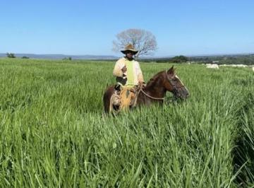 202605051855375422.jpeg · Fazenda para Venda em Várzea da Palma