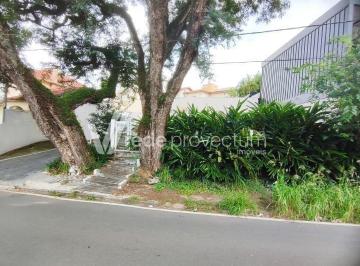 0 · casa para aluguel em Bairro das Palmeiras