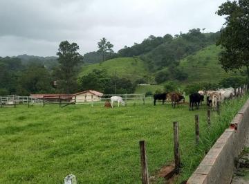 Terreno · 67000m² · Terreno para venda em Jardim Josane de 67000.00m²