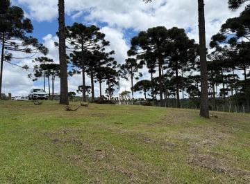 25252303_4.jpg · Chácara com riacho em Campo Alegre - 5.000 m2