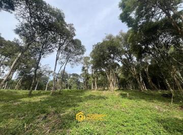 25214503_4.jpg · Natureza, Vista e Potencial Turístico