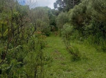 25214026_4.jpg · Terreno Plano com Fácil Acesso em Aguas Brancas
