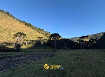 25246840_4.jpg · Refúgio Natural com Rio e Araucárias