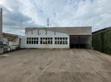 0 · casa para aluguel em Jardim das Paineiras