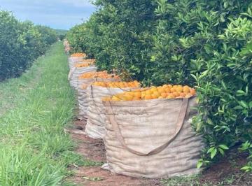 Imagem 1 · Fazenda