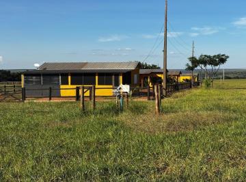Imagem 1 · Fazenda