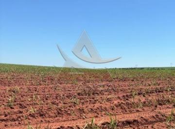 Imagem 1 · Fazenda