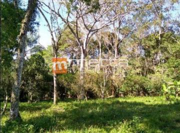 8of8psa2owy0ntq2mjc4odrh_md · Terreno à Venda em Ratones, Florianópolis - SC
