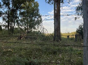 Photo_0 · 
                Oportunidade Única em ELDORADO DO SUL - RS | Tipo: Terreno | Negociação: Venda Dire