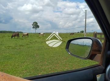 Imagem 1 · Fazenda para venda em Centro, Colinas do Tocantins