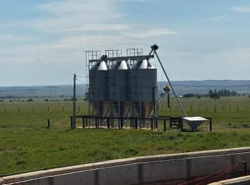 Imagem 1 · Fazenda