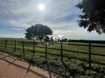 Imagem 1 · Fazenda