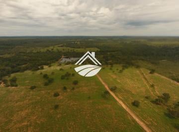 Imagem 1 · Fazenda