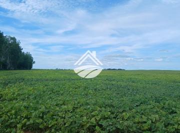 Imagem 1 · Fazenda