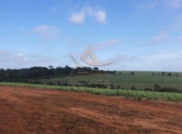 Imagem 1 · Fazenda