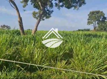 Imagem 1 · Fazenda
