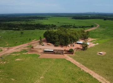 Imagem 1 · Fazenda