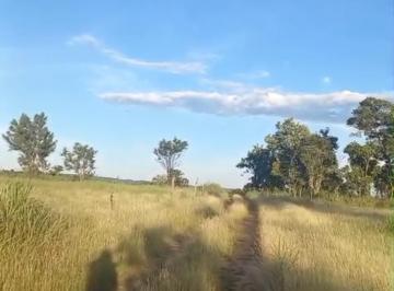 Rural de 2 quartos, Dianópolis · Sítio,Chácara de 50 hectares