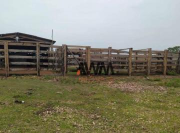 Imagem 1 · Fazenda